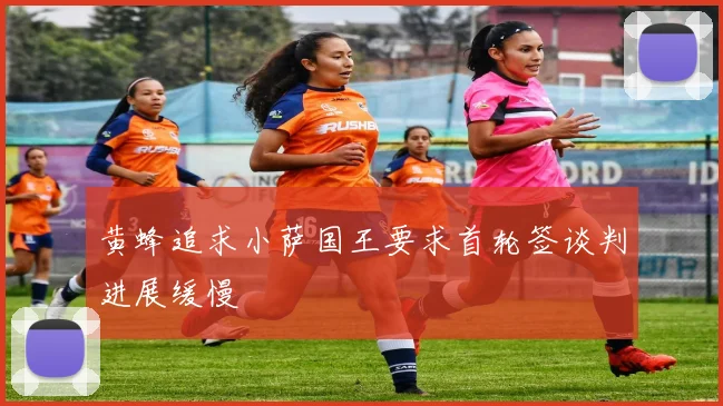 黄蜂追求小萨国王要求首轮签谈判进展缓慢